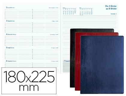 AGENDA EXACOMPTA ESPACE 22 SEMAINIER BARBARA JANVIER/JANVIER 1 SEMAINE 2 PAGES 225X185MM COLORIS ASSORTIS