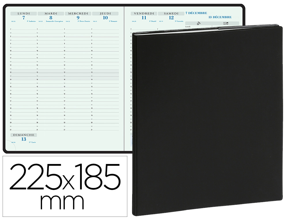AGENDA EXACOMPTA BROCH HORIZONS 22 SEMAINER COUVERTURE PLASTIQUE 1 SEMAINE 2 PAGES 225X185MM COLORIS ASSORTIS