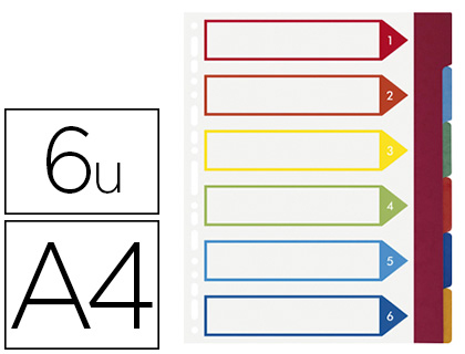 INTERCALAIRE EXACOMPTA CARTE LUSTRE RIGIDE 6 POSITIONS FORMAT A4+ 245X297MM COLORIS ASSORTIS