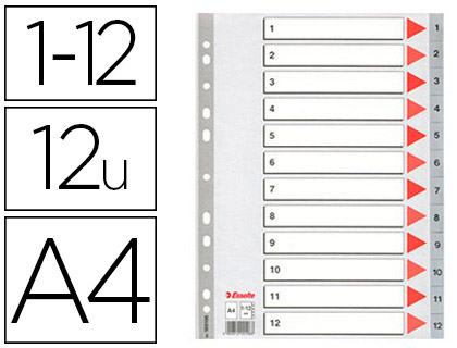 INTERCALAIRE ESSELTE POLYPROPYLNE 12 POSITIONS 225X297MM DOCUMENT A4 BANDE PERFORE RENFORCE