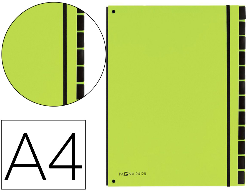 TRIEUR DURABLE CARTE RIGIDE A4 12 COMPARTIMENTS COLORIS VERT