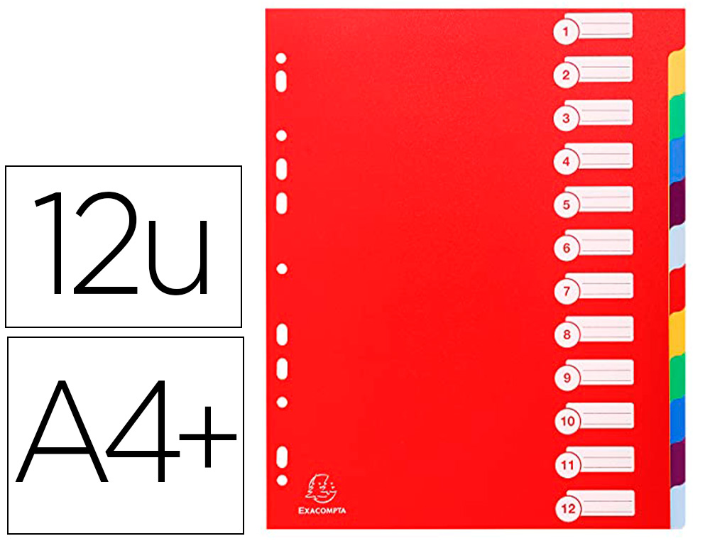 INTERCALAIRE EXACOMPTA POLYPROPYLNE 12/100E SOUPLE INDCHIRABLE 12 TOUCHES A4+ COLORIS   ASSORTIS