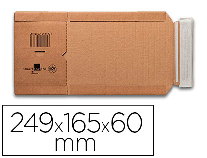 BOITE EXPEDITION POSTALE GPV UNIVERSEL CARTON RECYCLABLE   PAQUET 2 UNITES SOUS FILM     249X165X60MM